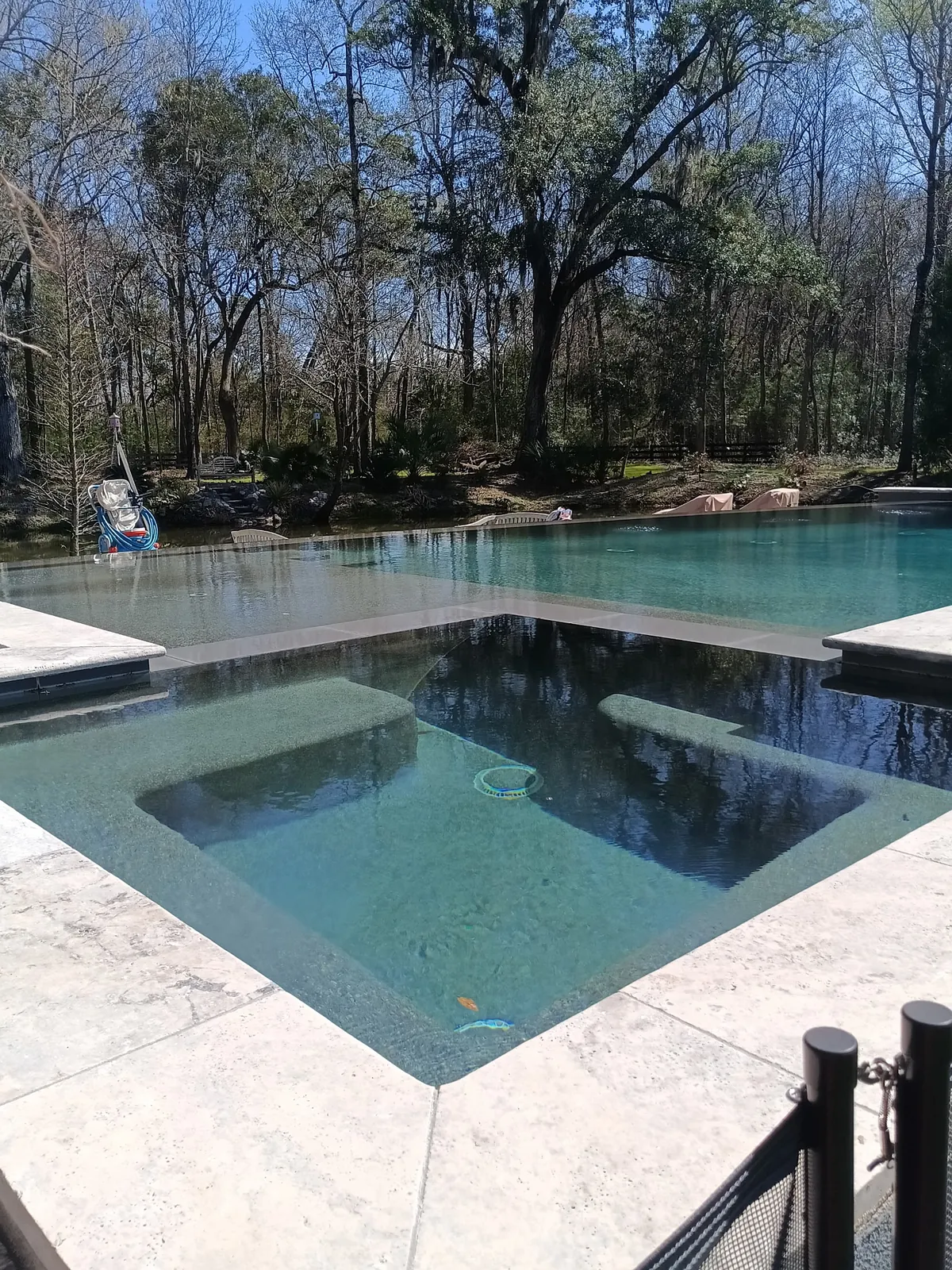Pool and spa combo surrounded by Live Oak trees